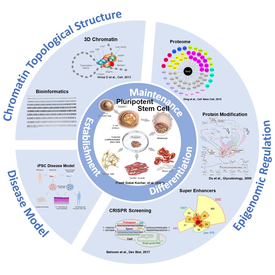 1538977267238520.jpg 研究方向尝试2.jpg